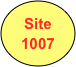 Site
1007