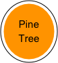 Pine
Tree

