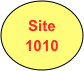 Site
1010
