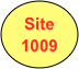 Site
1009
