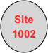 Site
1002