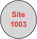 Site
1003