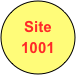 Site
1001