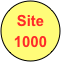 Site
1000