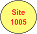 Site
1005