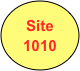 Site
1010
