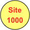 Site
1000